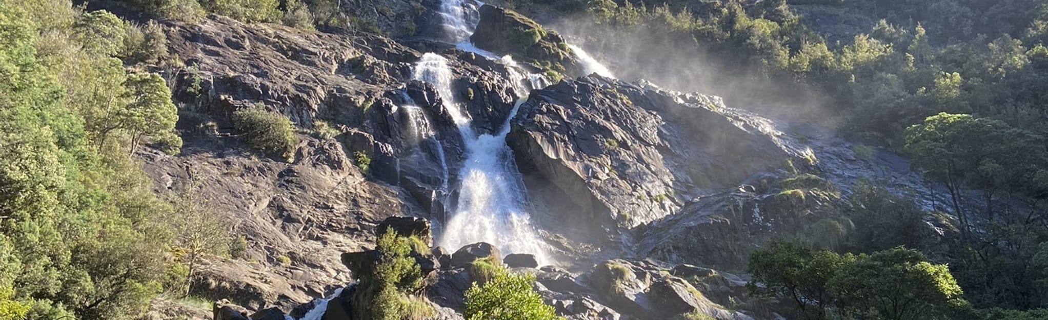 Saint Columba Falls, Tasmania, Australia 86 Reviews, Map AllTrails
