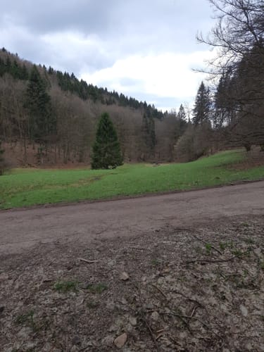 Schleusingerneundorf - Hengstwiese - Otterrod