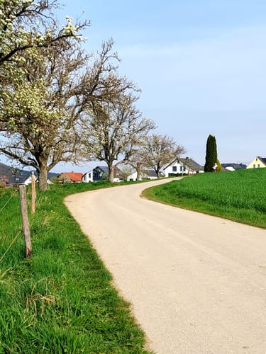 Rund um Morscheid