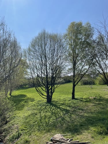 Rundwanderweg Klostersee Lehnin