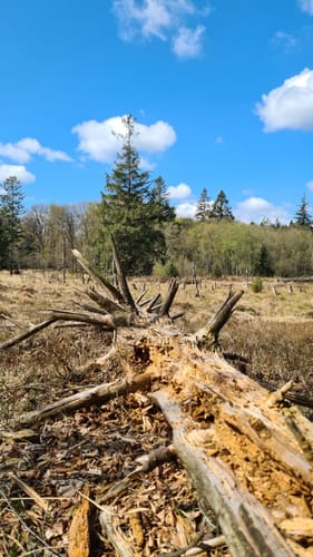Runde in den Fröruper Bergen
