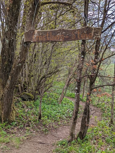 Bergmähwiesenpfad (Premiumwanderweg)