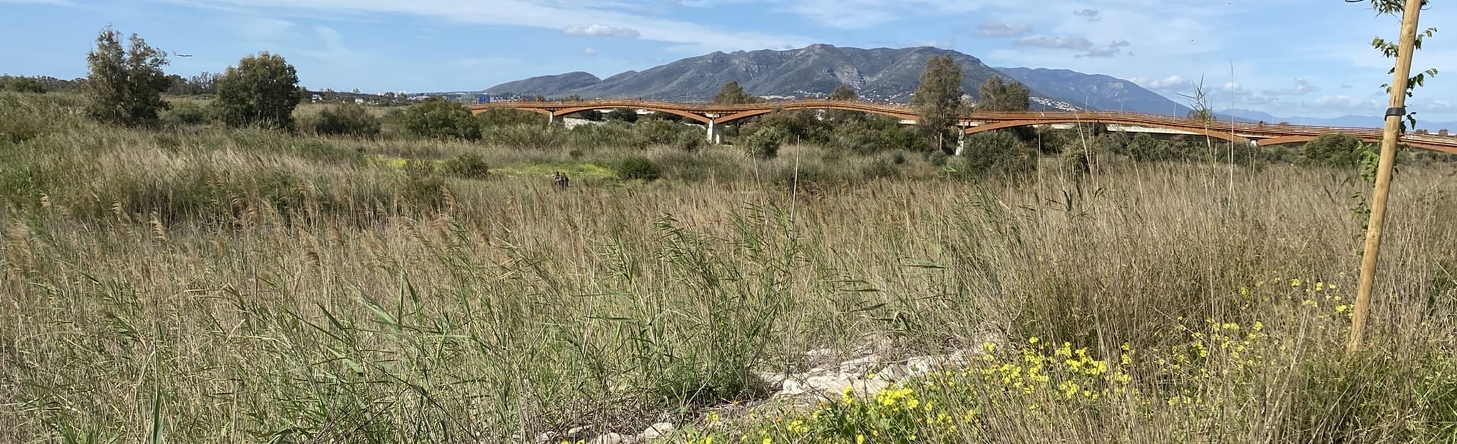 Sacaba Beach Puente Guadalhorce Observatorio Aves Marinas 59 foto