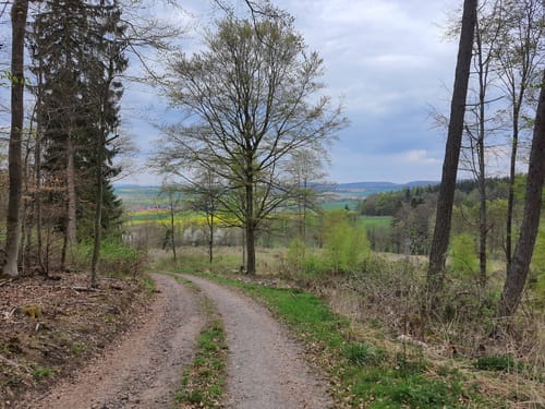 Rundwanderweg Netze - Bubenkreuz