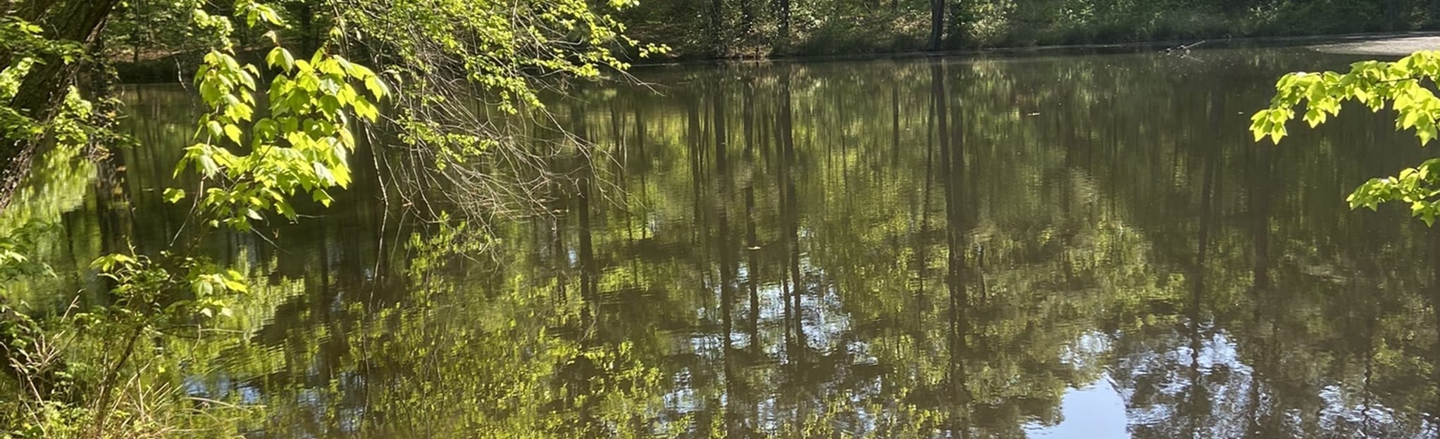 Falls Lake Trail via 98 Short - EyJidWNrZXQiOiJhc3NldHMuYWxsdHJhaWxzLmNvbSIsImtleSI6InVwbG9hZHMvcGhvdG8vaW1hZ2UvNDY1NTE0MzEvODM0ZTIyZTFjYzNmMzE1ZjA3MDI4NWY2MGQwNmZkOTIuanBnIiwiZWRpdHMiOnsidG9Gb3JtYXQiOiJqcGVnIiwicmVzaXplIjp7IndpZHRoIjoyMDQ0LCJoZWlnaHQiOjYyNCwiZml0IjoiY292ZXIifSwicm90YXRlIjpudWxsLCJqcGVnIjp7InRyZWxsaXNRdWFudGlzYXRpb24iOnRydWUsIm92ZXJzaG9vdERlcmluZ2luZyI6dHJ1ZSwib3B0aW1pc2VTY2FucyI6dHJ1ZSwicXVhbnRpc2F0aW9uVGFibGUiOjN9fX0=