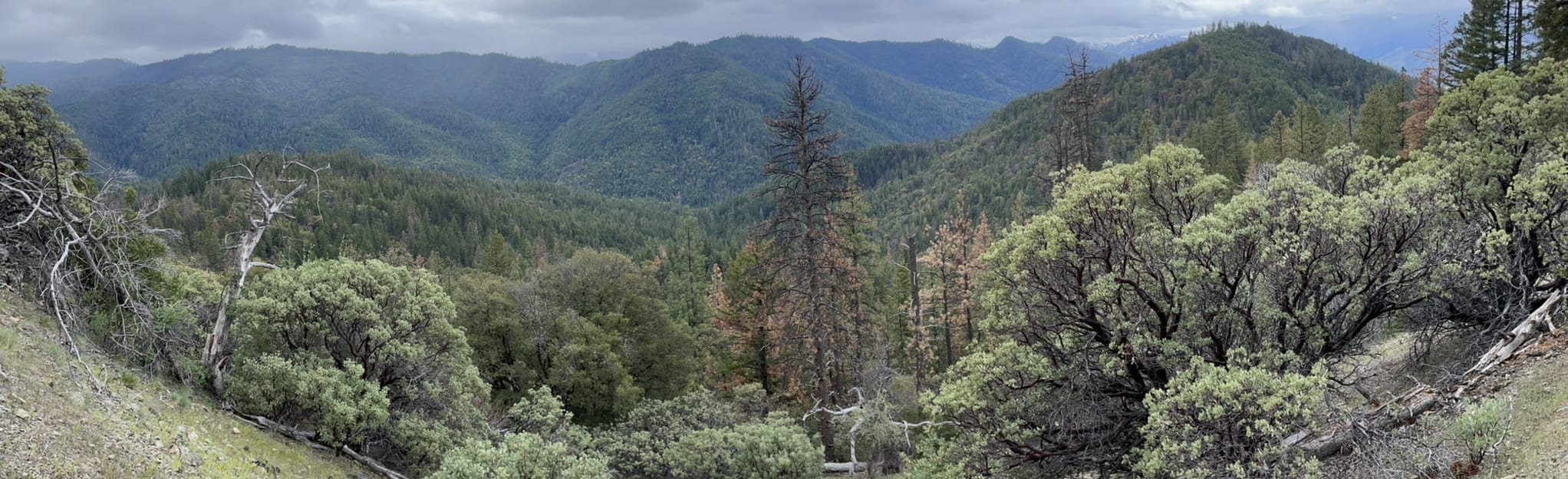 Jacksonville Trail, Oregon 4 Reviews, Map AllTrails