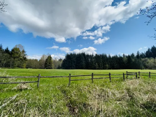 10 Best Hikes and Trails in Cougar - EyJidWNrZXQiOiJhc3NldHMuYWxsdHJhaWxzLmNvbSIsImtleSI6InVwbG9hZHMvcGhvdG8vaW1hZ2UvNDY1NTk0MzIvNTdjMTA4NzViZGZmYWFhOWE0ZDFiOTFiZTEwZjc3OTEuanBnIiwiZWRpdHMiOnsidG9Gb3JtYXQiOiJ3ZWJwIiwicmVzaXplIjp7IndpZHRoIjo1MDAsImhlaWdodCI6NTAwLCJmaXQiOiJpbnNpZGUifSwicm90YXRlIjpudWxsLCJqcGVnIjp7InRyZWxsaXNRdWFudGlzYXRpb24iOnRydWUsIm92ZXJzaG9vdERlcmluZ2luZyI6dHJ1ZSwib3B0aW1pc2VTY2FucyI6dHJ1ZSwicXVhbnRpc2F0aW9uVGFibGUiOjN9fX0=