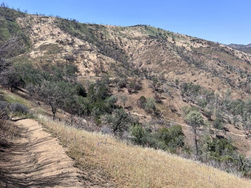 Best Hikes and Trails in Frank Raines Park | AllTrails