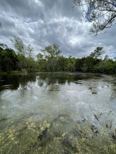 2023 Best Kid Friendly Trails in - EyJidWNrZXQiOiJhc3NldHMuYWxsdHJhaWxzLmNvbSIsImtleSI6InVwbG9hZHMvcGhvdG8vaW1hZ2UvNDY1NzkyNjIvMDFkYWU2NjhkNDRiN2ZiN2Y1OTM3ZDJkZjhjZjk3OWYuanBnIiwiZWRpdHMiOnsidG9Gb3JtYXQiOiJqcGVnIiwicmVzaXplIjp7IndpZHRoIjo1MDAsImhlaWdodCI6NTAwLCJmaXQiOiJpbnNpZGUifSwicm90YXRlIjpudWxsLCJqcGVnIjp7InRyZWxsaXNRdWFudGlzYXRpb24iOnRydWUsIm92ZXJzaG9vdERlcmluZ2luZyI6dHJ1ZSwib3B0aW1pc2VTY2FucyI6dHJ1ZSwicXVhbnRpc2F0aW9uVGFibGUiOjN9fX0=