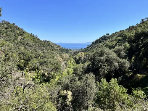 Take A Hike Boot, Los Padres National Forest, USA - Los Padres - T