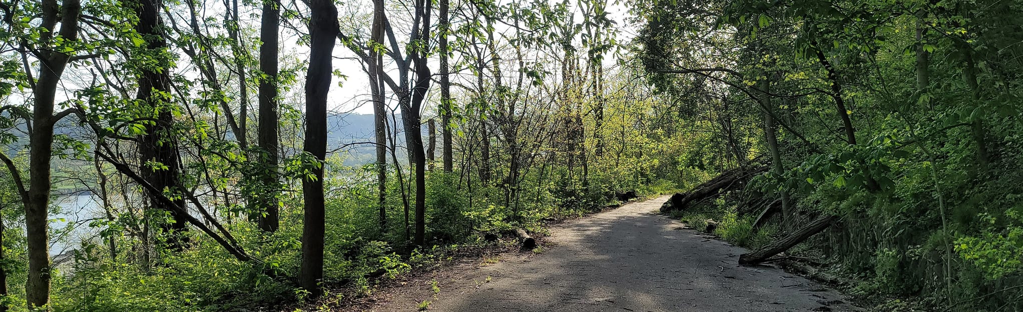 Sister's Hill Trail, Ohio 187 Reviews, Map AllTrails