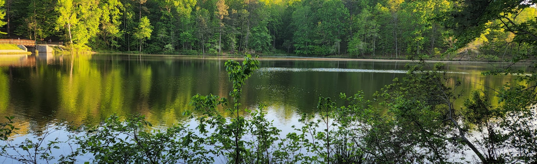 Raleigh Greenway Trail North Carolina - EyJidWNrZXQiOiJhc3NldHMuYWxsdHJhaWxzLmNvbSIsImtleSI6InVwbG9hZHMvcGhvdG8vaW1hZ2UvNDY1ODgyNTYvNDI3YWIxYmIzZTJlY2Q4NjBlYzA3M2I1ZmFmZWNlZGEuanBnIiwiZWRpdHMiOnsidG9Gb3JtYXQiOiJqcGVnIiwicmVzaXplIjp7IndpZHRoIjoyMDQ0LCJoZWlnaHQiOjYyNCwiZml0IjoiY292ZXIifSwicm90YXRlIjpudWxsLCJqcGVnIjp7InRyZWxsaXNRdWFudGlzYXRpb24iOnRydWUsIm92ZXJzaG9vdERlcmluZ2luZyI6dHJ1ZSwib3B0aW1pc2VTY2FucyI6dHJ1ZSwicXVhbnRpc2F0aW9uVGFibGUiOjN9fX0=