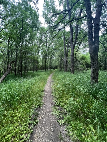 2023 Best Kid Friendly Trails in - EyJidWNrZXQiOiJhc3NldHMuYWxsdHJhaWxzLmNvbSIsImtleSI6InVwbG9hZHMvcGhvdG8vaW1hZ2UvNDY1OTA0MzYvYTE3MmVmMGQxNTE2ZjlkMWVhYzRiN2Y2NjVlY2NlZWUuanBnIiwiZWRpdHMiOnsidG9Gb3JtYXQiOiJqcGVnIiwicmVzaXplIjp7IndpZHRoIjo1MDAsImhlaWdodCI6NTAwLCJmaXQiOiJpbnNpZGUifSwicm90YXRlIjpudWxsLCJqcGVnIjp7InRyZWxsaXNRdWFudGlzYXRpb24iOnRydWUsIm92ZXJzaG9vdERlcmluZ2luZyI6dHJ1ZSwib3B0aW1pc2VTY2FucyI6dHJ1ZSwicXVhbnRpc2F0aW9uVGFibGUiOjN9fX0=