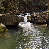 Little Stony Falls Trail, Virginia - 210 Reviews, Map | AllTrails