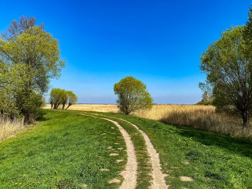 Wanderweg Dümmerdeich