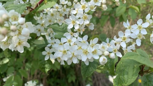Rund um den Kronthaler Weiher