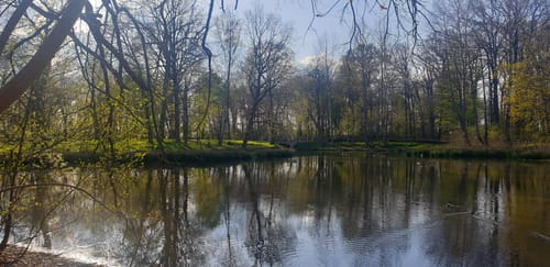 Zum Schloßpark Börnicke