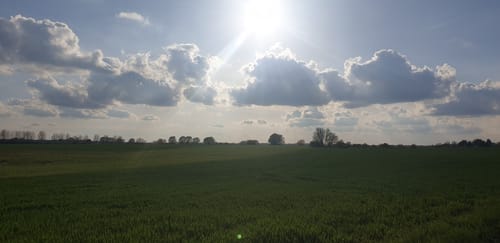 Zum Schloßpark Börnicke
