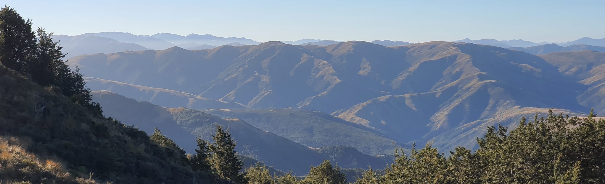 Mount Thomas Loop via Summit and Ridge Tracks, Canterbury, New Zealand 71 Reviews, Map AllTrails