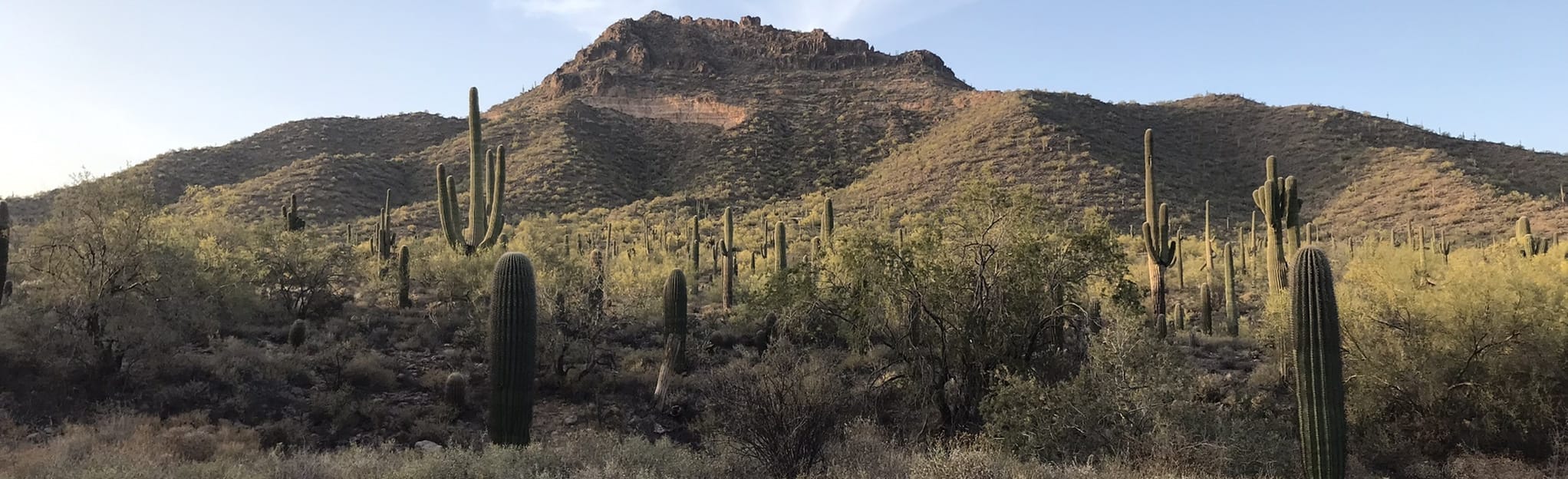 Cat's Peaks Loop via Blevins Trail, Arizona 804 Reviews, Map AllTrails