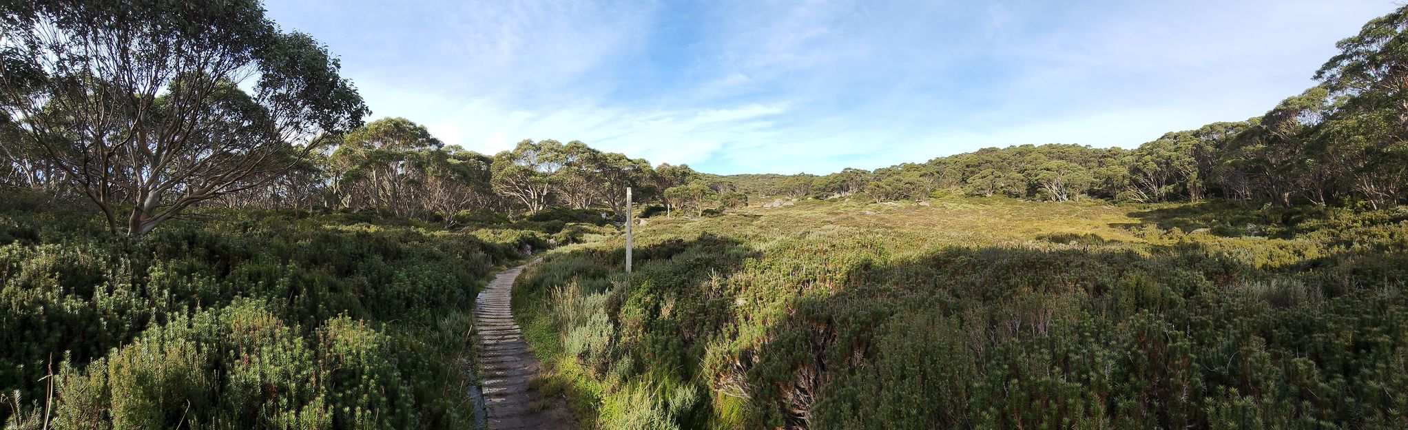 Mount Baw Baw, Mount Saint Phillack, Mount Saint Gwinear, 236 Fotos
