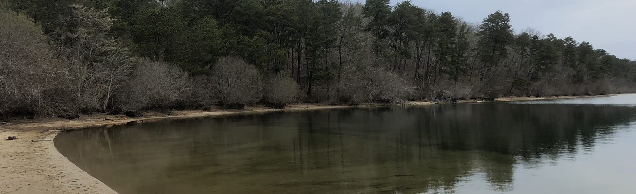 Nickerson State Park Long Trail: 156 fotos - Massachusetts | AllTrails