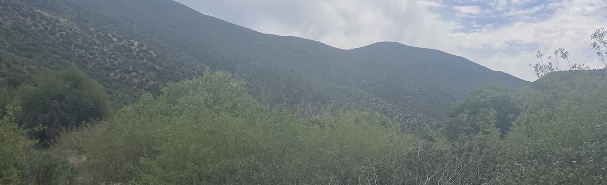 PCT Lake Hughes Road to 7N01 and Scenic Viewpoint 157 photos