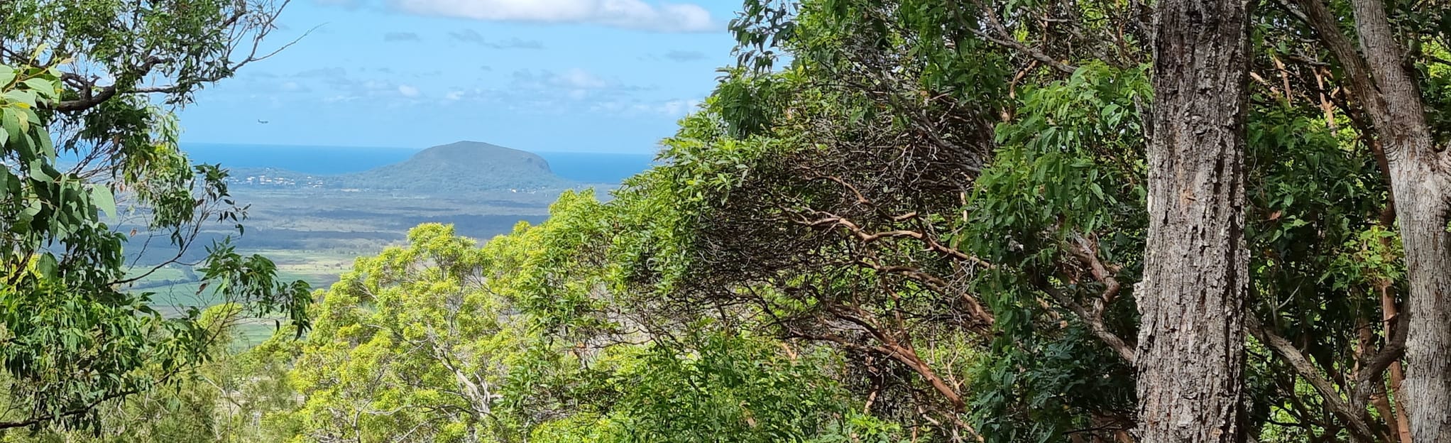 Mount Ninderry Trail 332 Reviews, Map Queensland, Australia AllTrails