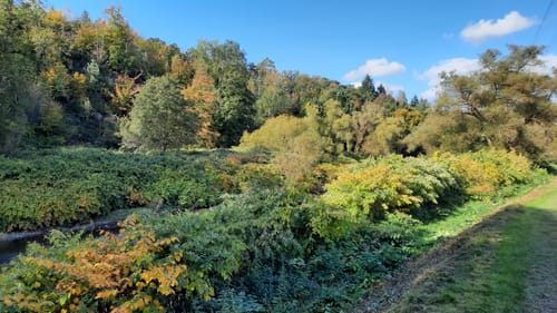 Natursteig Sieg Etappe 11: Wissen - Scheuerfeld