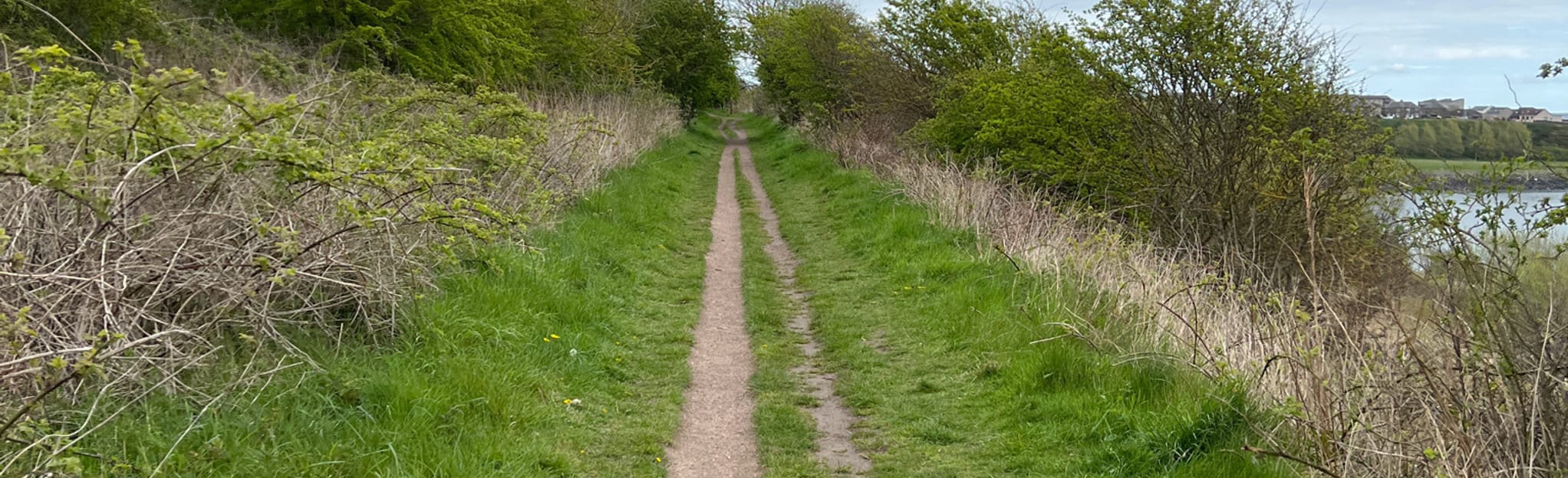 East Wemyss to Lower Largo via Fife Coastal Path 42 Fotos Fife