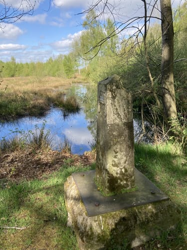 Aamsveen Gele Wandelroute