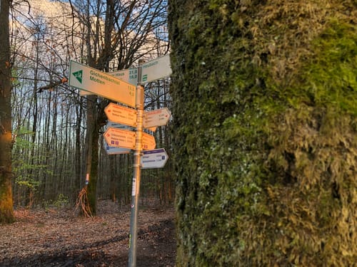 Arnberg und Große Haube ab Wanderparkplatz Autobahnbrücke