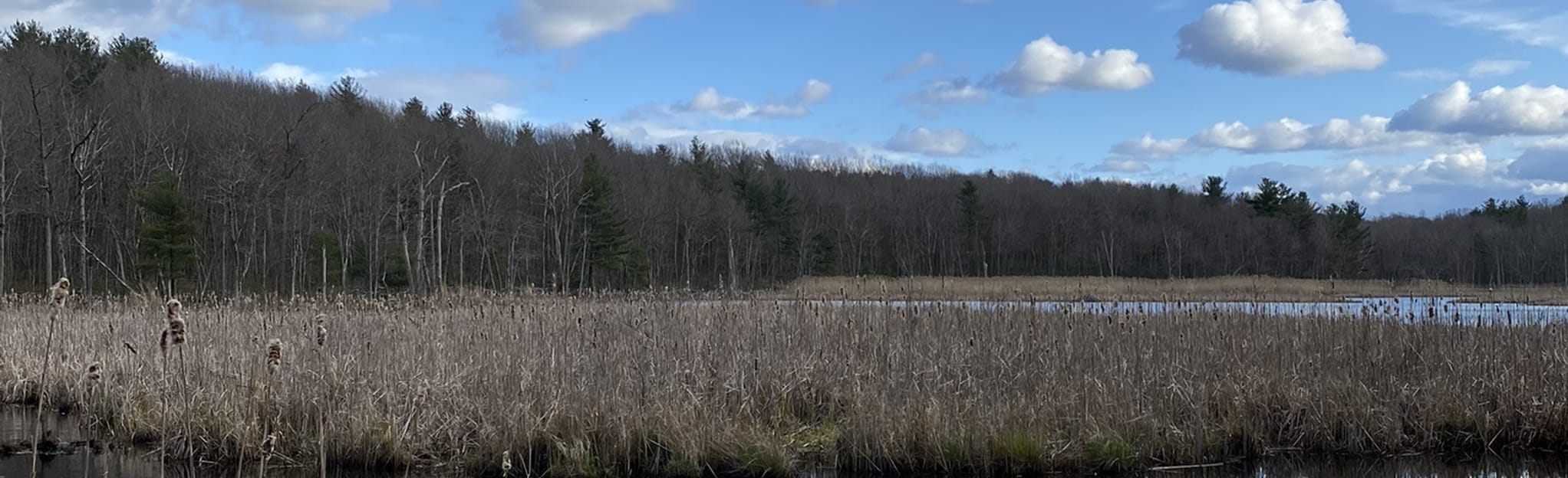 Princeton Land Trust Peabody Metcalf Loop Map, Guide Massachusetts