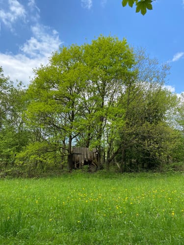 Grumbach ab Stahlquelle
