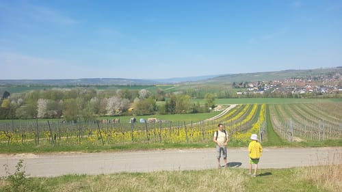 Selztal-Terroir-Route 3
