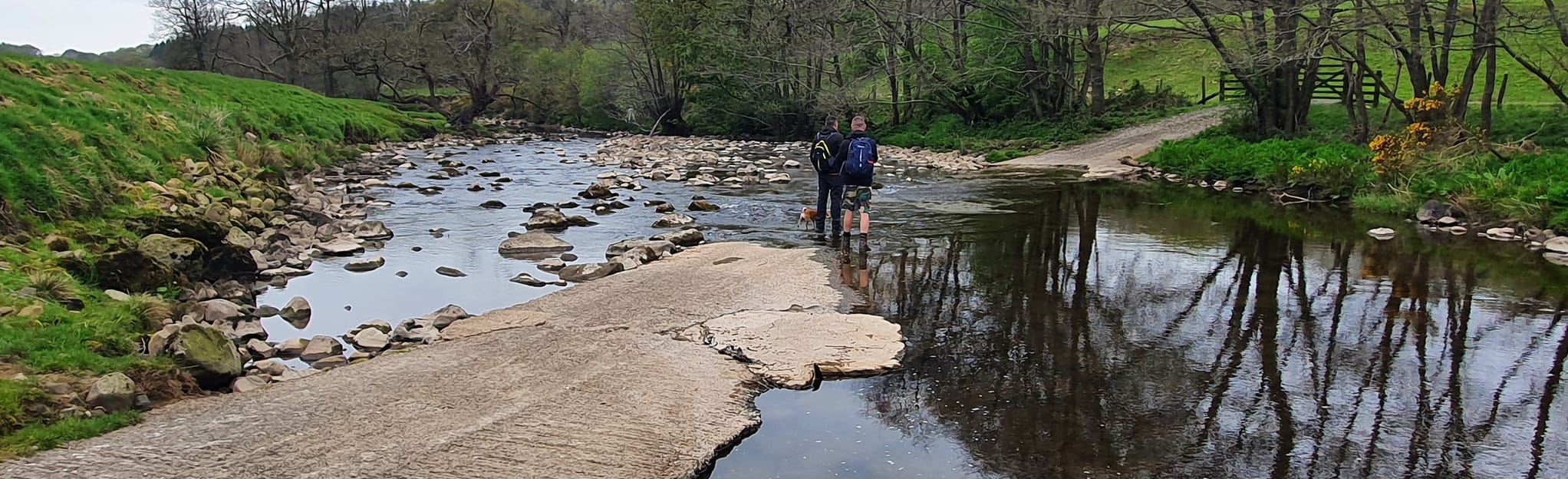 Dolphinholme and Abbeystead Reservoir Circular 43 Reviews, Map Lancashire, England AllTrails