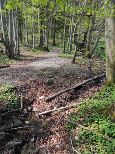 E.ON Bayern-Trail- Aschau West