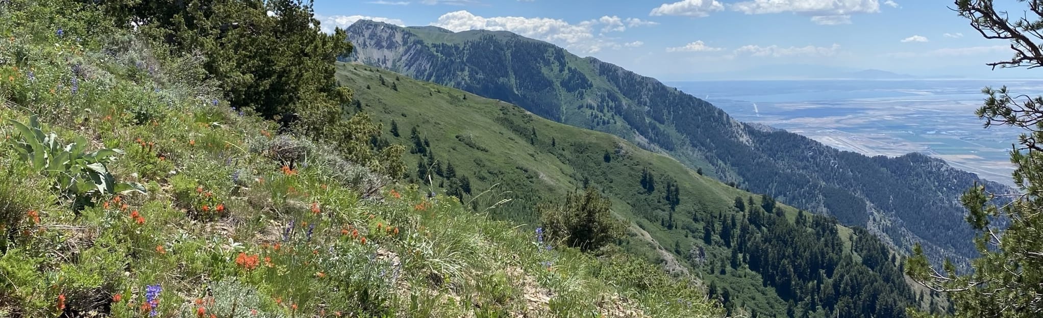 Mendon Peak Trail 151 Reviews, Map Utah AllTrails