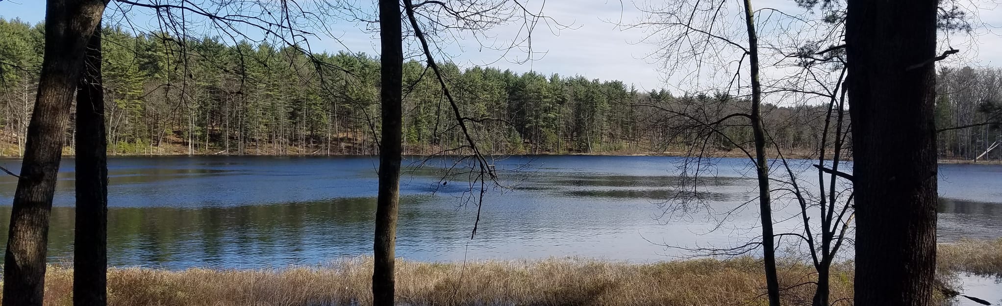 Yudicky Farm Swamp Loop, New Hampshire - 206 Reviews, Map | AllTrails