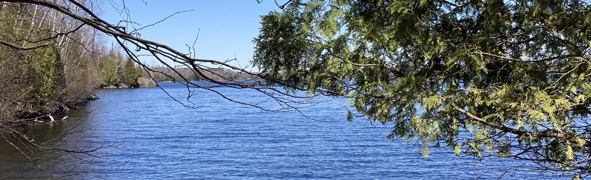 Coe Hill Trail, Ontario, Canada 6 Reviews, Map AllTrails