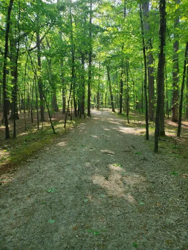 10 Best Trail Running Trails In William B. Umstead State Park | AllTrails