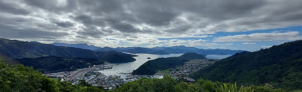 Hilltop View via Tirohanga Track (from Newgate Street ): 116 Reviews, Map -  Marlborough, New Zealand | AllTrails