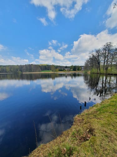 Um die Waldscheibe ab Luchsenburg