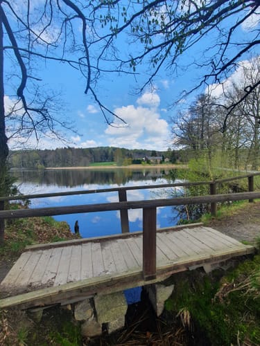 Um die Waldscheibe ab Luchsenburg