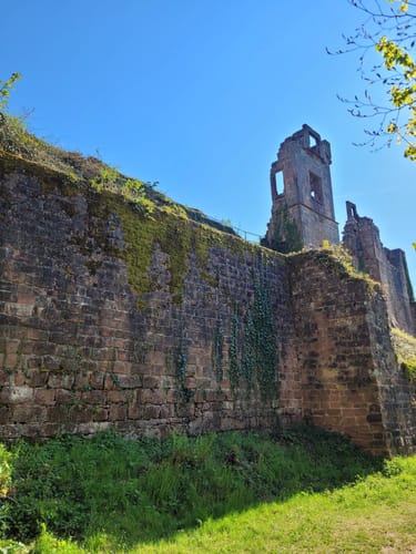Durch das Hainbachtal zur Ruine Neuscharfeneck