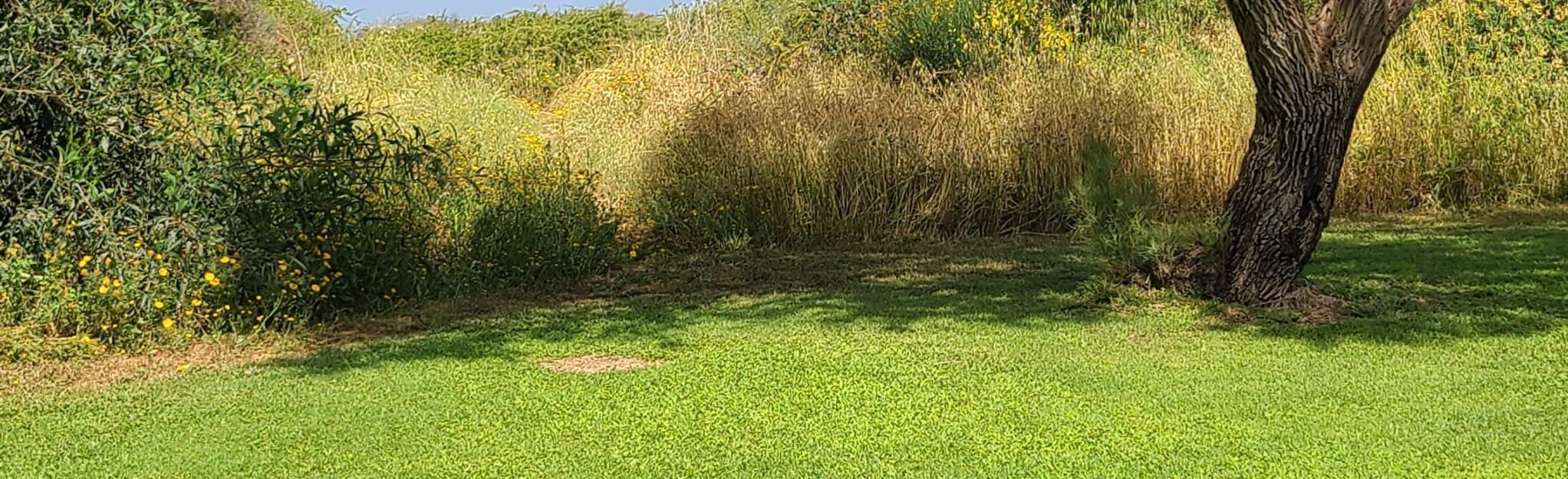 Gaash and Iris Path Trail Map, Guide Central District HaMerkaz