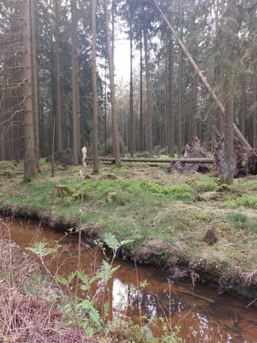 Von Roetgen auf dem Roten Weg