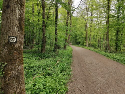 Auf dem Rundwanderweg Wuppertal zwischen Vohwinkel und Katernberg