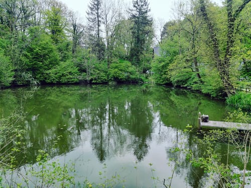 Auf dem Rundwanderweg Wuppertal zwischen Vohwinkel und Katernberg