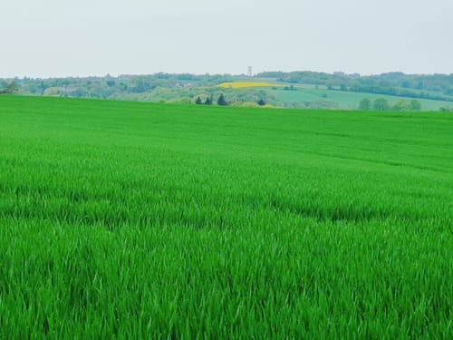 Auf dem Rundwanderweg Wuppertal zwischen Vohwinkel und Katernberg